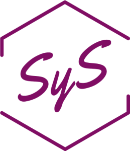 Desarrollo Profesional SyS