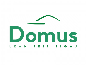 Domus - Lean Seis Sigma