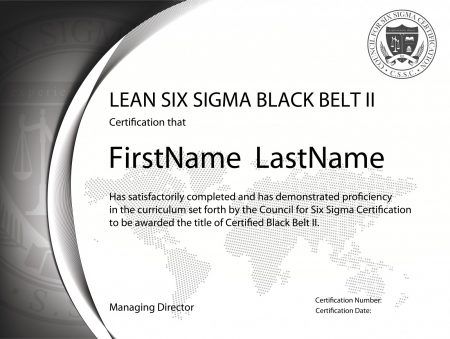 Lean Six Sigma Black Belt Certification II